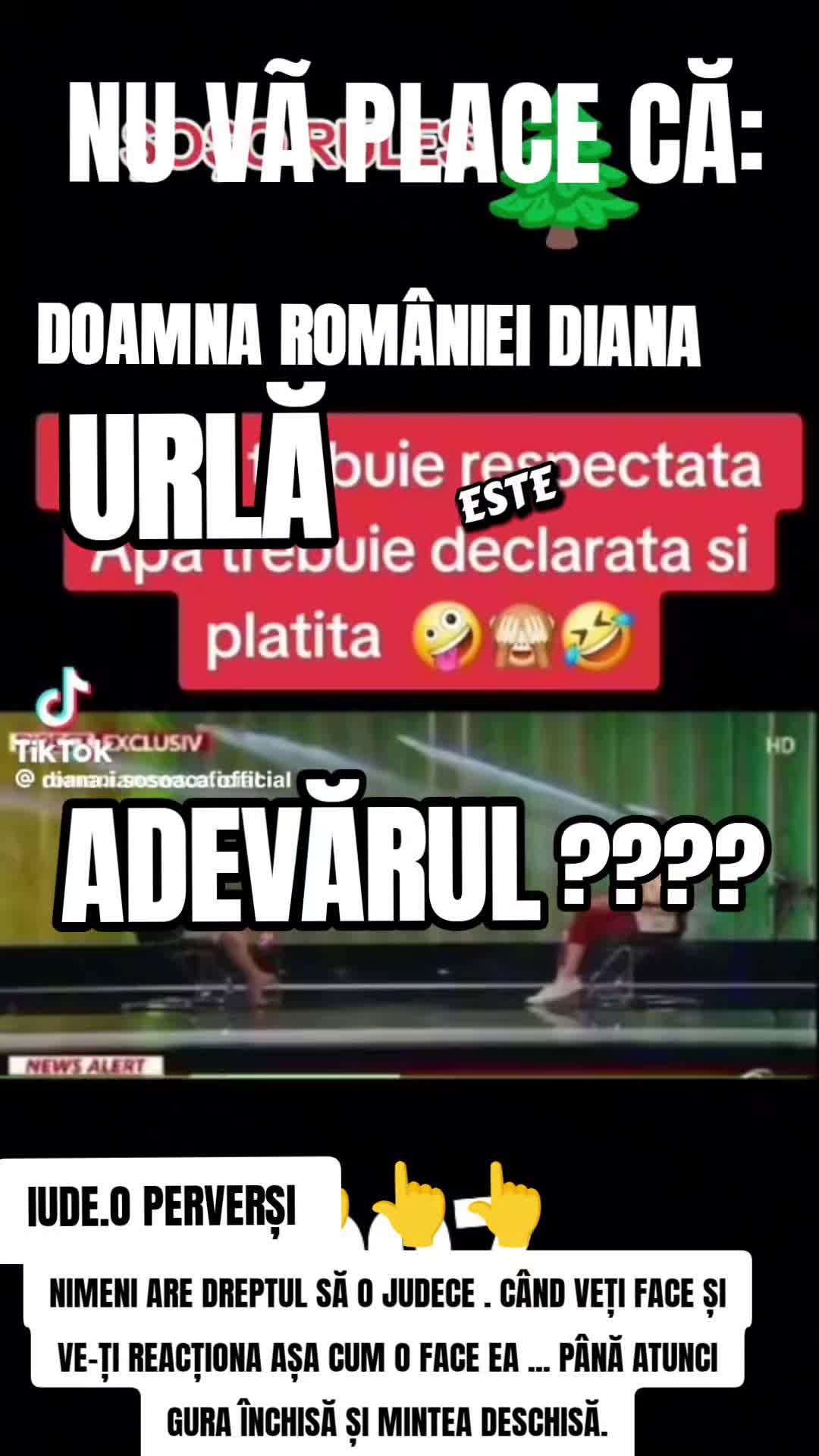 Previzualizare video TikTok @cernerea1dioguarda