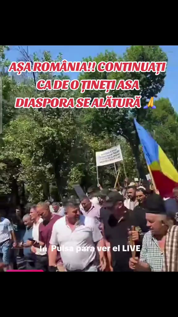 Se alătură diaspora mișcării lui Georgescu și Simion?