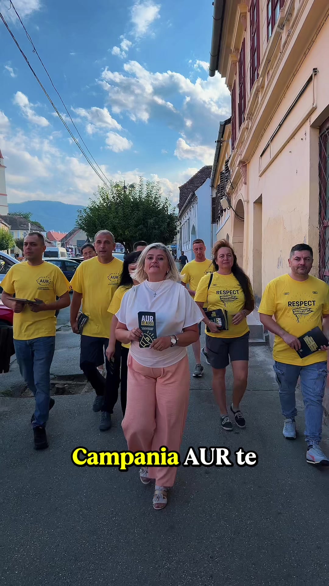 Previzualizare video TikTok @luminitapaucean