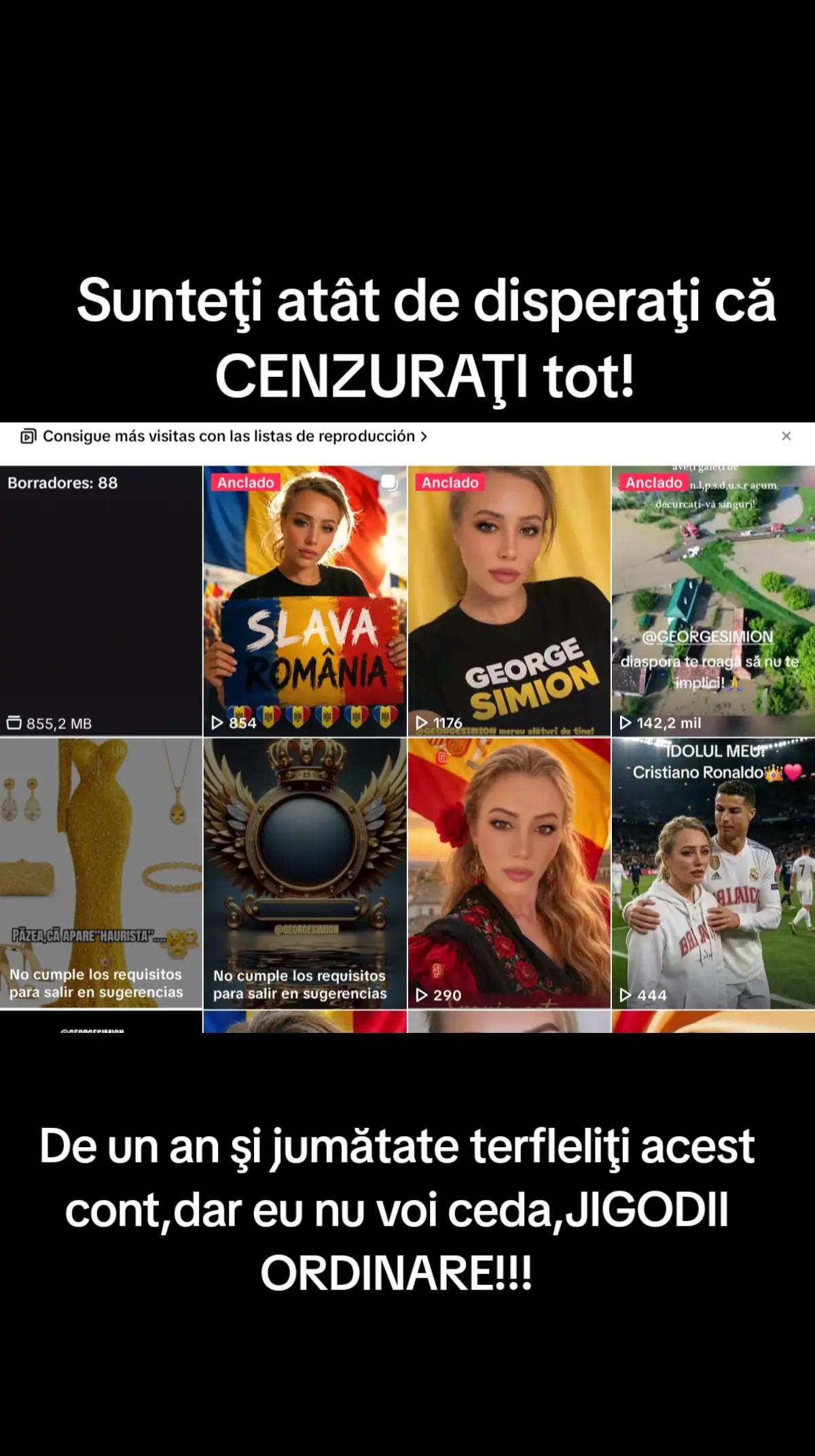 Previzualizare video TikTok @leonablanca21