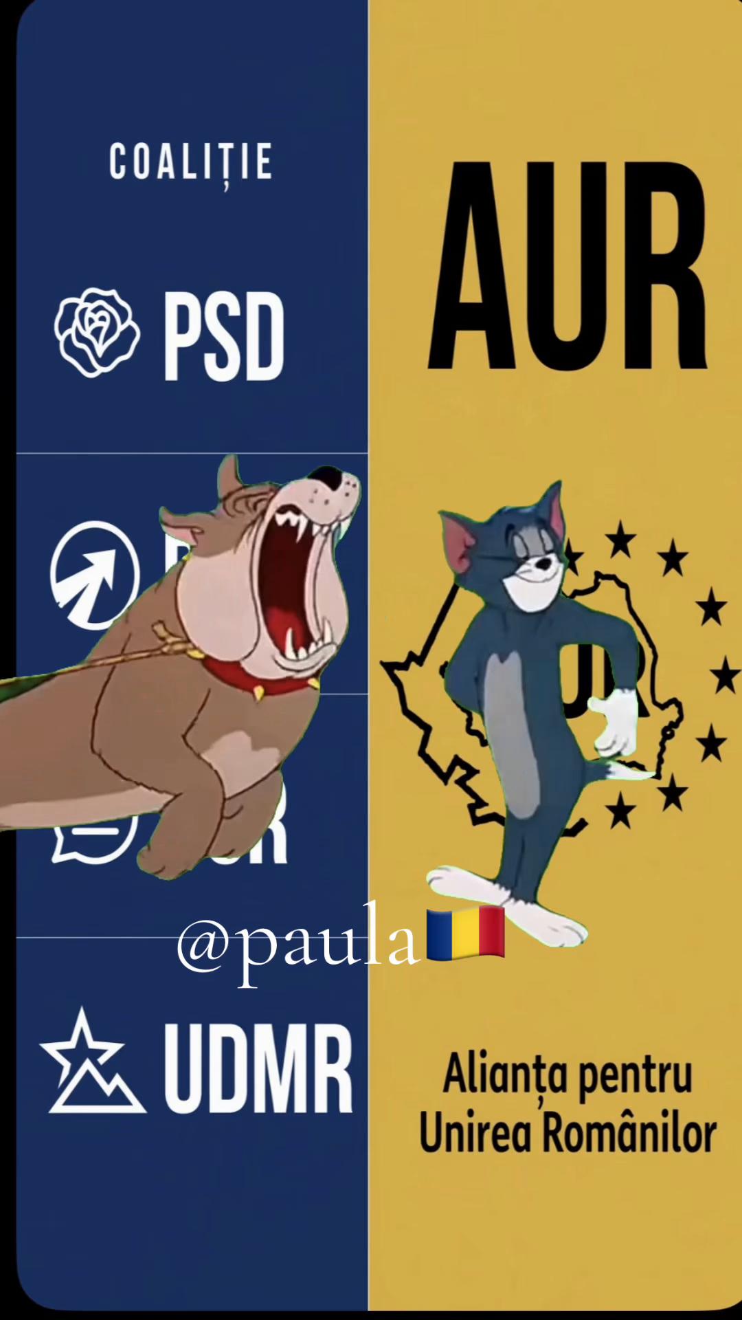 Previzualizare video TikTok @paula_paula81