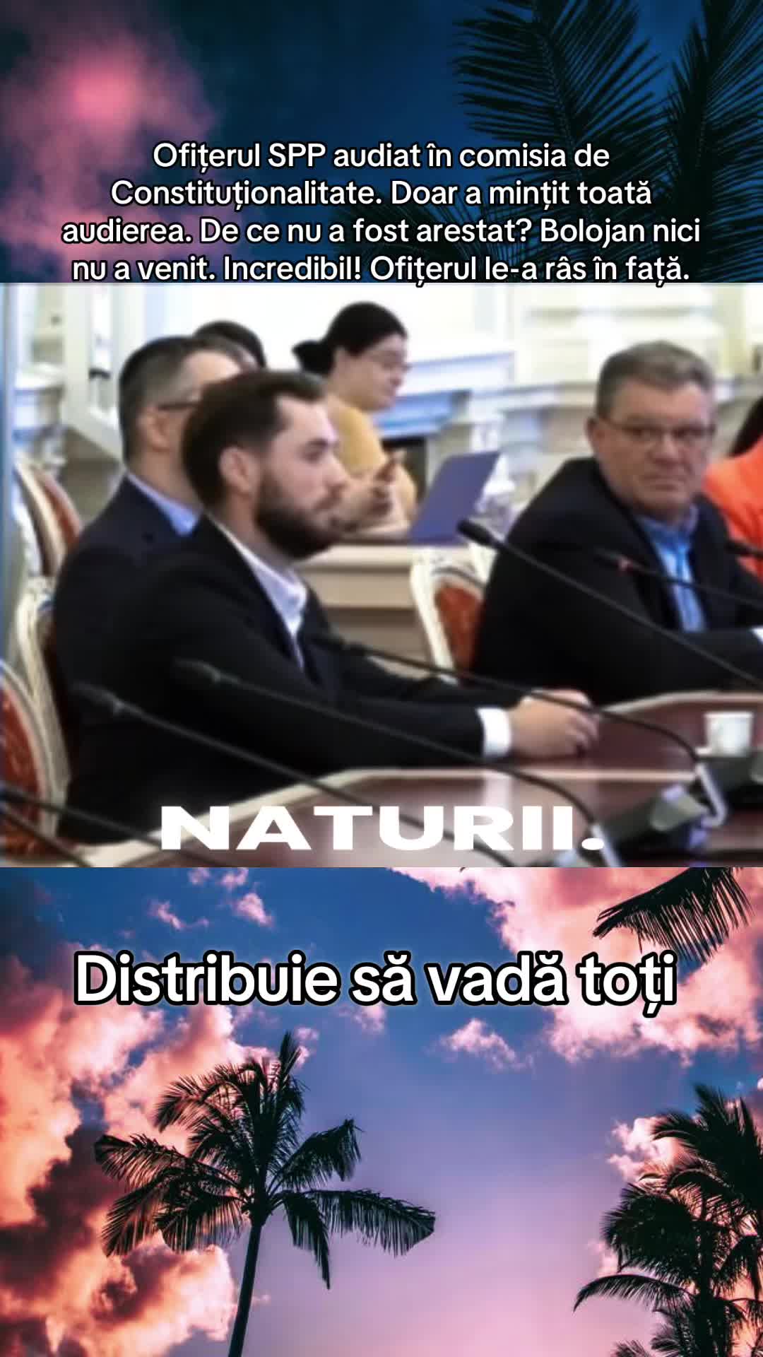 Previzualizare video TikTok @georgecarut