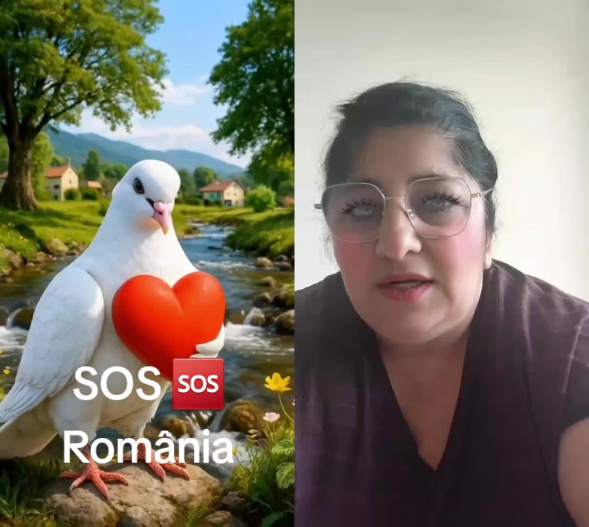 Previzualizare video TikTok @nike6923