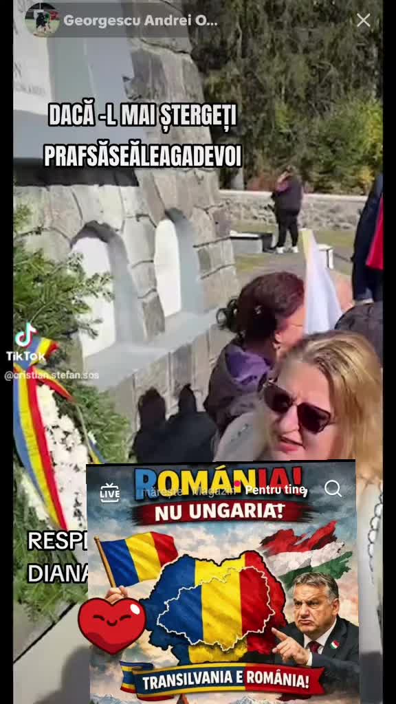 Previzualizare video TikTok @mihaelacoc2