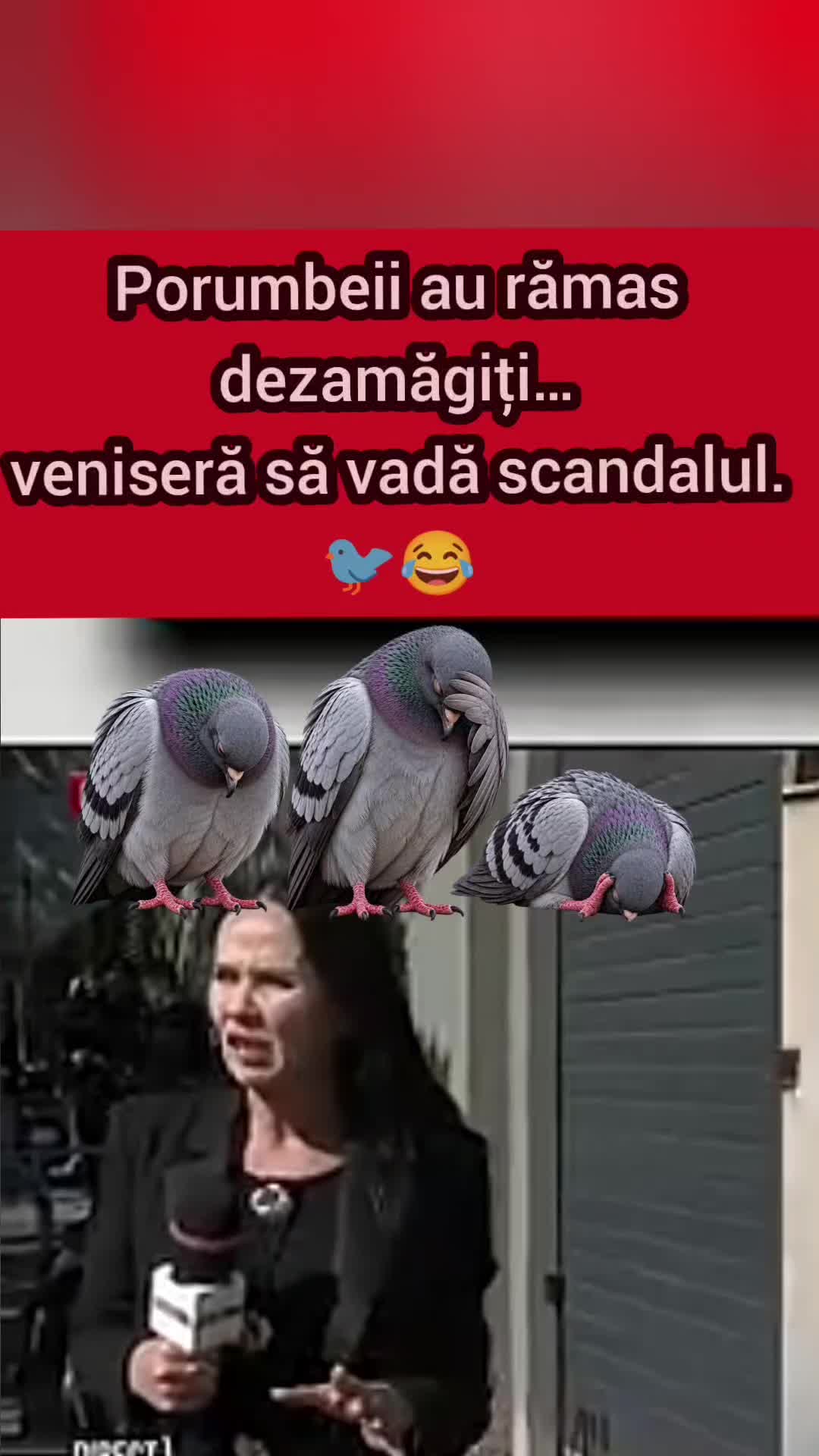 Previzualizare video TikTok @petronelfilipciu5