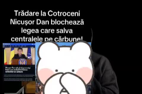Previzualizare video TikTok @anonymous_._dns